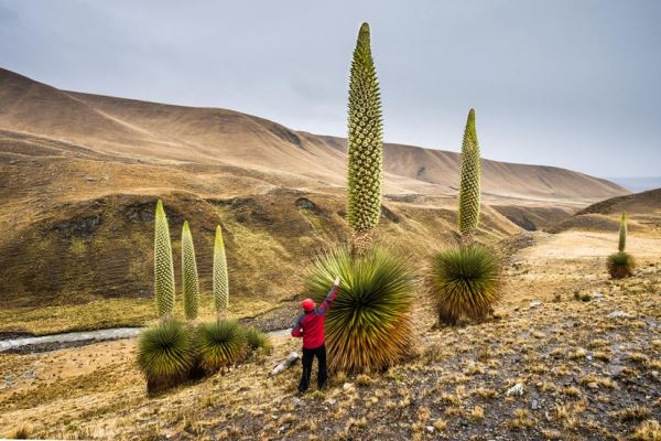 Заснеженные тропики Перу. Пресс-релиз