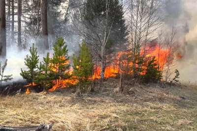 Минприроды России предупреждает: в условиях сухой, теплой и ветреной погоды причиной пожаров могут стать даже незначительные источники огня