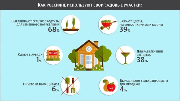 Огородная болезнь. Как можно подорвать здоровье на садовом участке