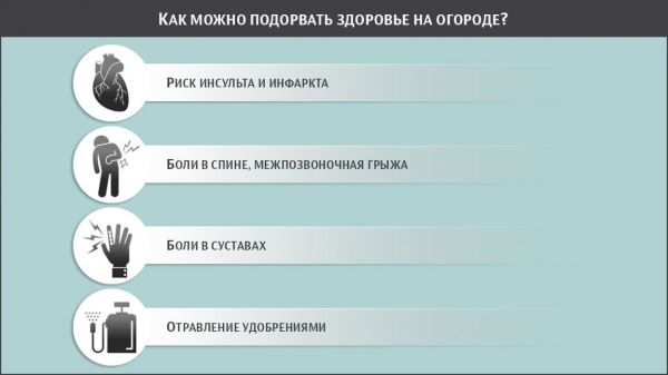 Огородная болезнь. Как можно подорвать здоровье на садовом участке