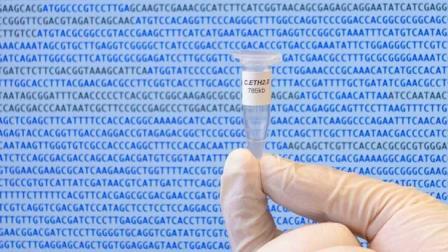 Генетический код, полностью сгенерированный компьютером, может стать основой новых форм синтетической жизни